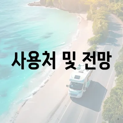 사용처 및 전망