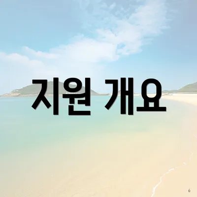 지원 개요
