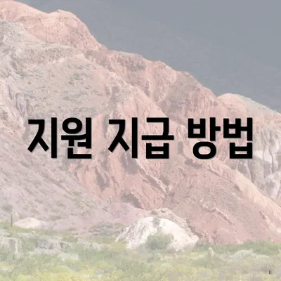 지원 지급 방법