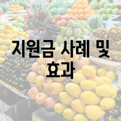 지원금 사례 및 효과