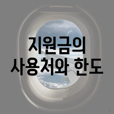 지원금의 사용처와 한도